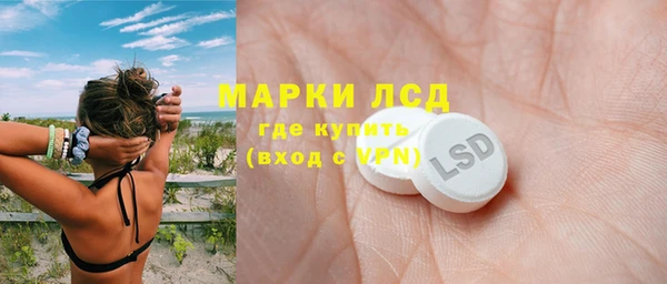 стаф Алексин
