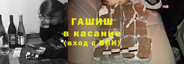 стаф Алексин