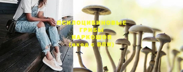 марки lsd Алзамай