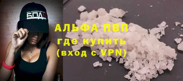 стаф Алексин
