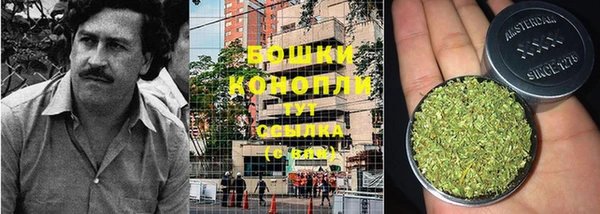 трава Абинск