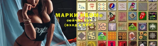 трава Абаза