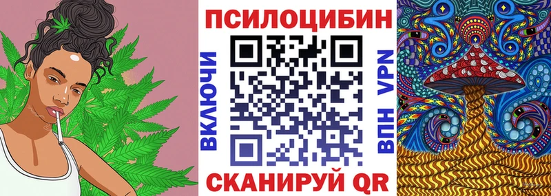 Псилоцибиновые грибы мицелий  купить закладку  Топки 
